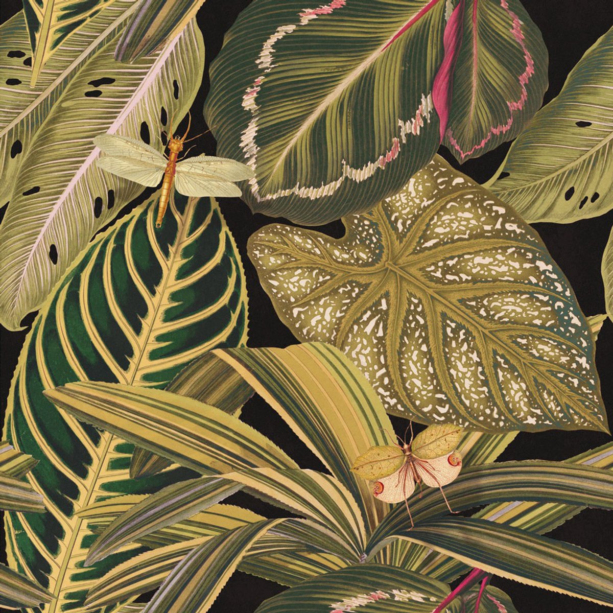 MINDTHEGAP | Amazonia | WP20159 MINDTHEGAP | Amazonia | WP20159