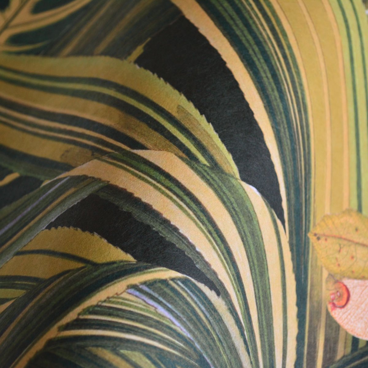 MINDTHEGAP | Amazonia | WP20159 MINDTHEGAP | Amazonia | WP20159