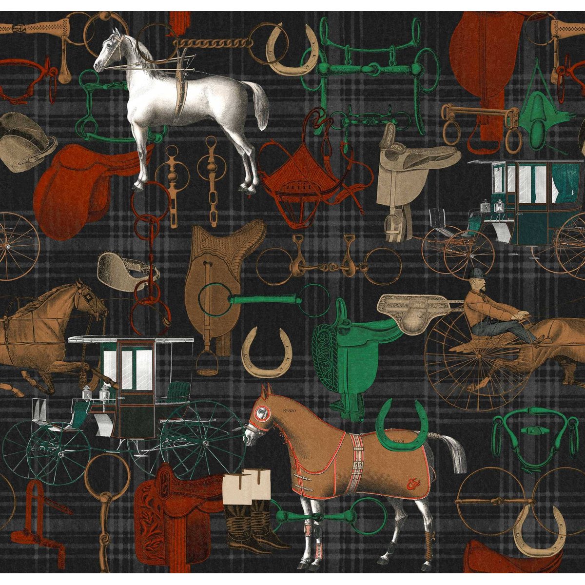 MINDTHEGAP | THE JOCKEY Faded | WP20643 MINDTHEGAP | THE JOCKEY Faded | WP20643