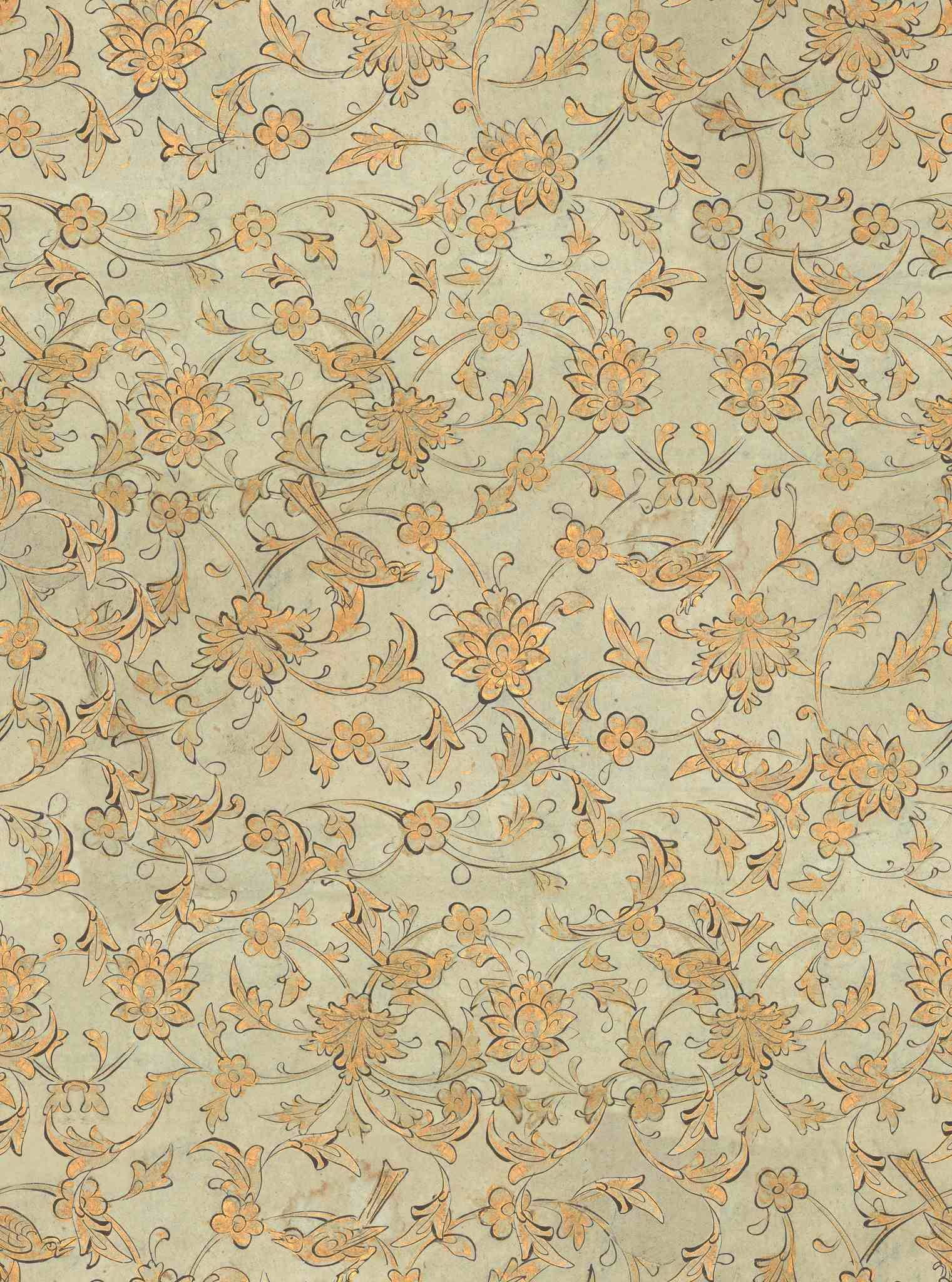 MINDTHEGAP | Transylvanian Roots | BACKYARD FLOWERING Seacrest | WP30005 MINDTHEGAP | Transylvanian Roots | BACKYARD FLOWERING Seacrest | WP30005