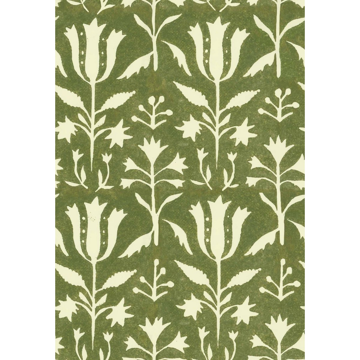 MINDTHEGAP | TRANSYLVANIAN ROOTS | TULIPAN Herbal | WP30033 MINDTHEGAP | TRANSYLVANIAN ROOTS | TULIPAN Herbal | WP30033