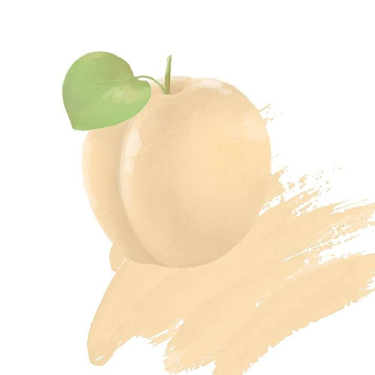 NR-Apricot Cream NR-Apricot Cream