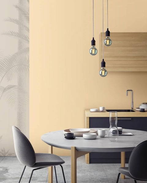 NR-Apricot Cream NR-Apricot Cream