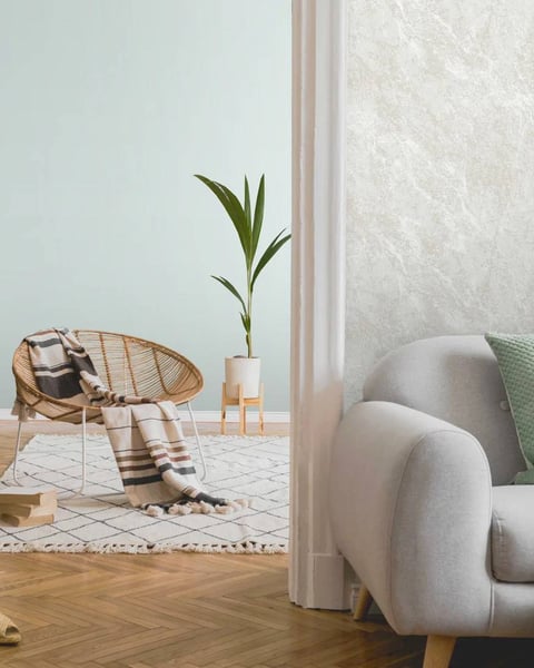 NR-Candy Ice Cream NR-Candy Ice Cream