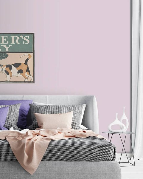 NR-Cotton Candy NR-Cotton Candy