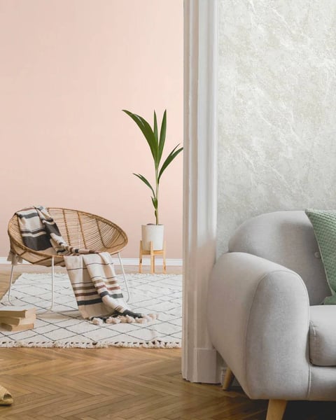 NR-Himalayan Salt NR-Himalayan Salt