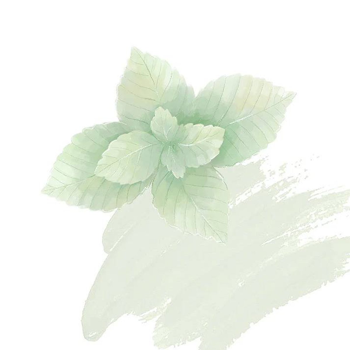 NR-Iced Mint NR-Iced Mint