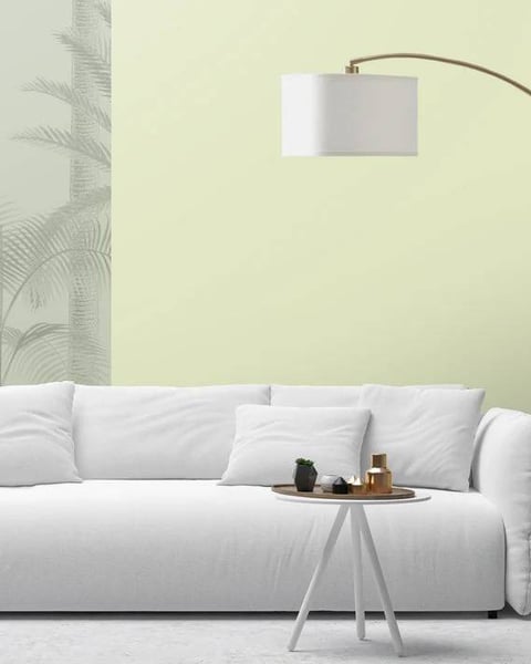 NR-Mint Candy NR-Mint Candy