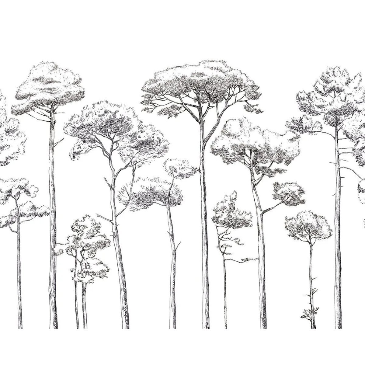 PaperMint | Sous Les Pins I PaperMint | Sous Les Pins I