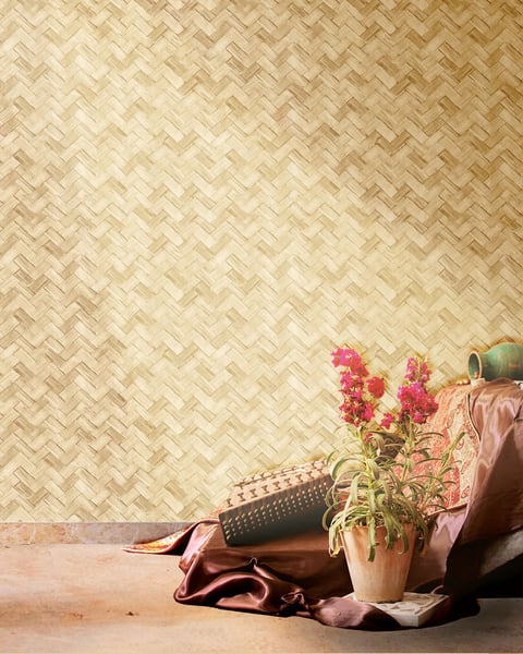 22068 | Amazzonia 22068 | Amazzonia