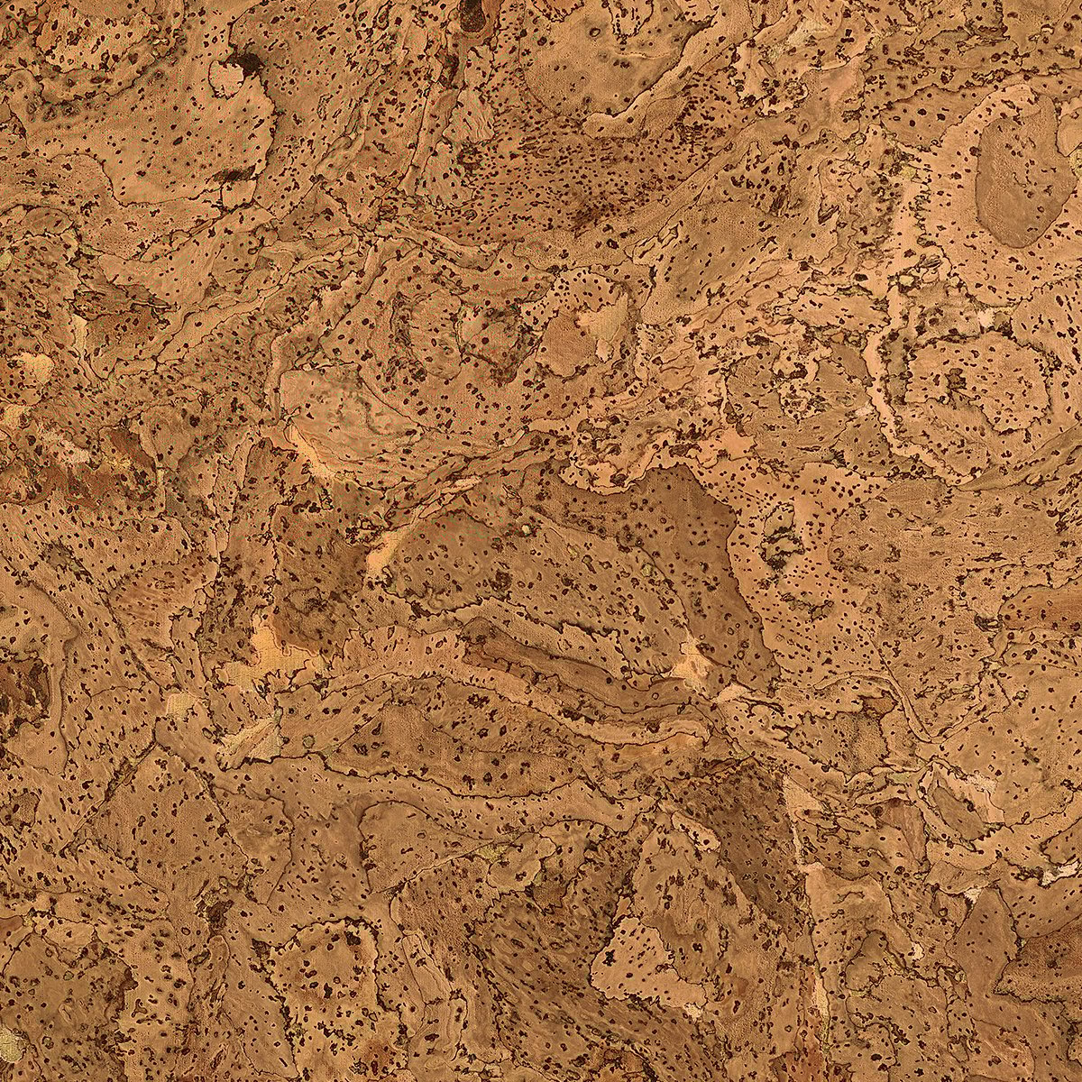 Phillip Jeffries | Cork Couture I Phillip Jeffries | Cork Couture I