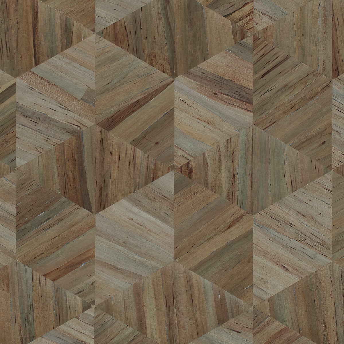 Phillip Jeffries | Harmony Hyacinth II Phillip Jeffries | Harmony Hyacinth II