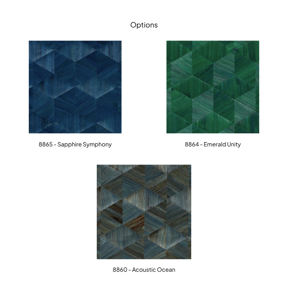 Phillip Jeffries | Harmony Hyacinth I Phillip Jeffries | Harmony Hyacinth I