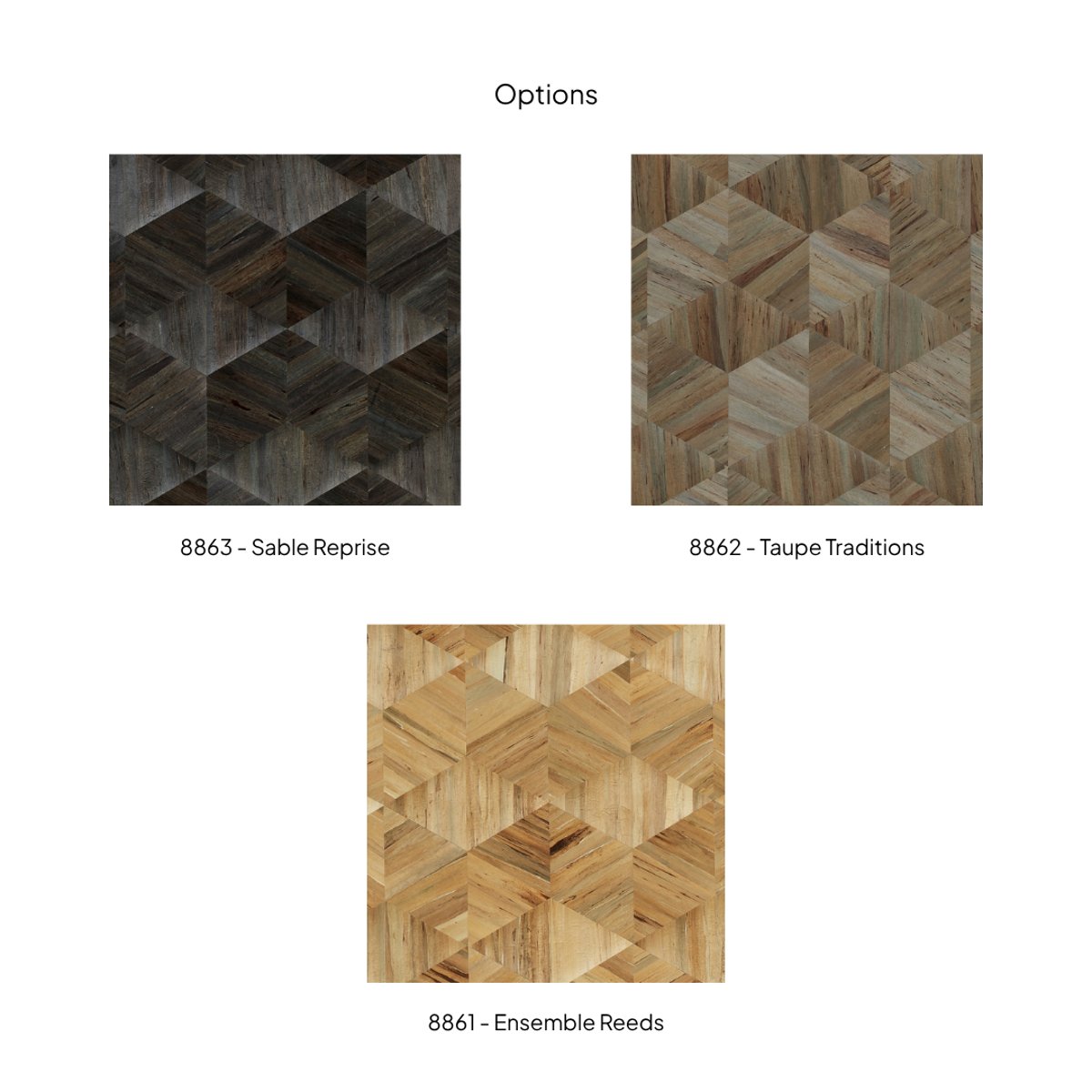 Phillip Jeffries | Harmony Hyacinth II Phillip Jeffries | Harmony Hyacinth II