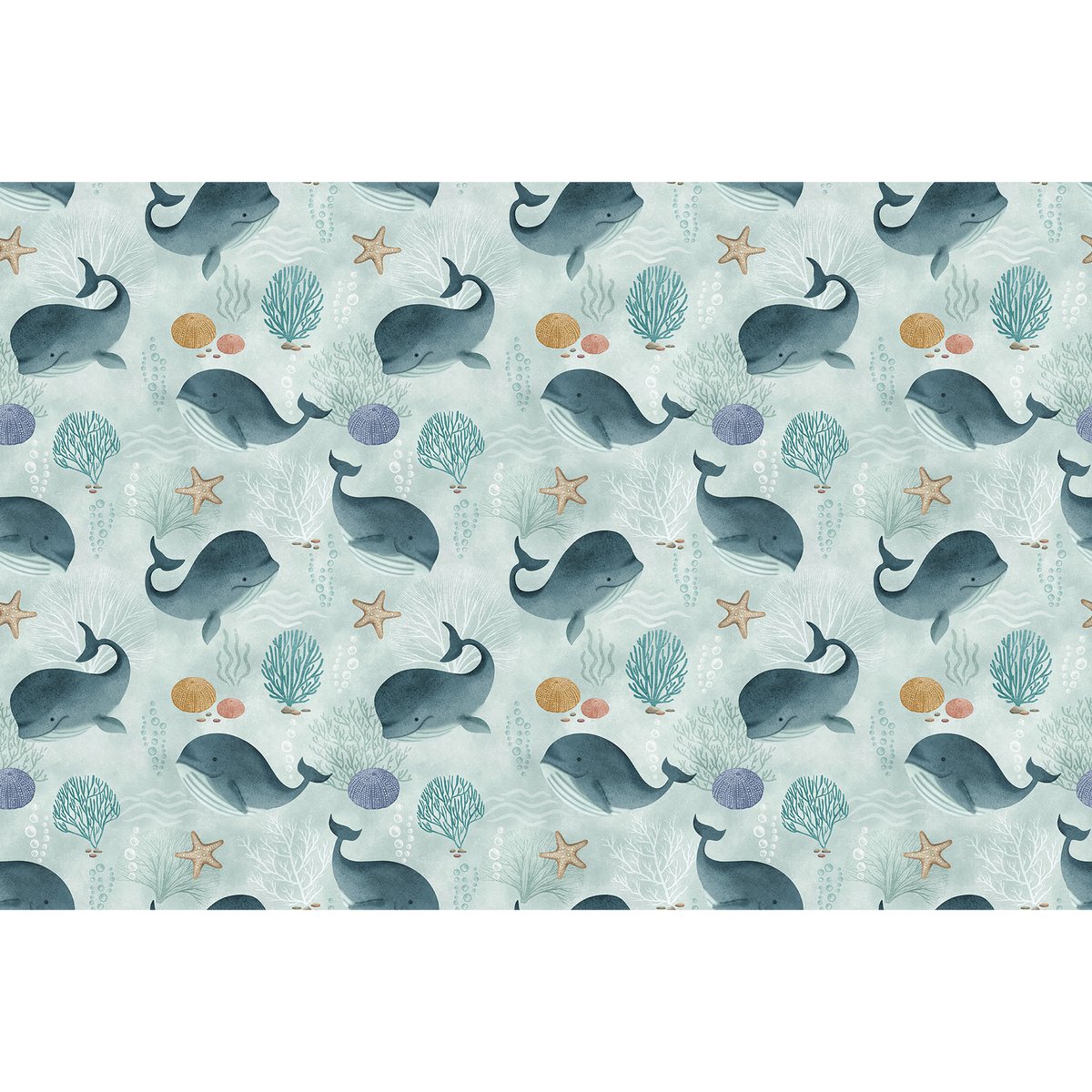 Rimura | Baby Whale Rimura | Baby Whale