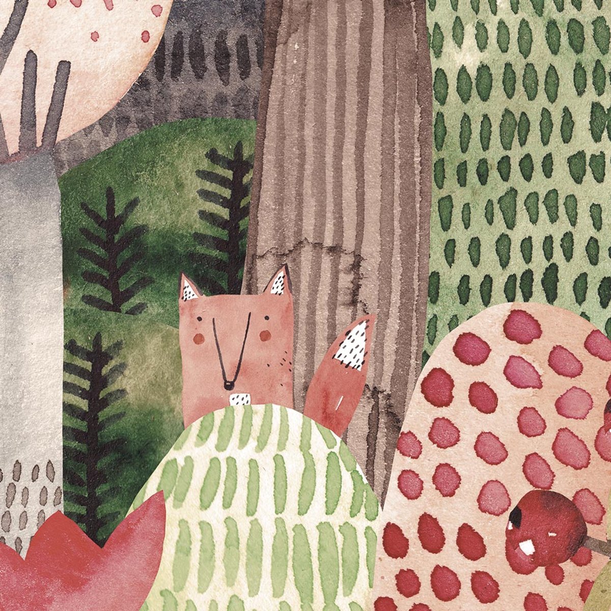 Rimura | Boschetto Rimura | Boschetto