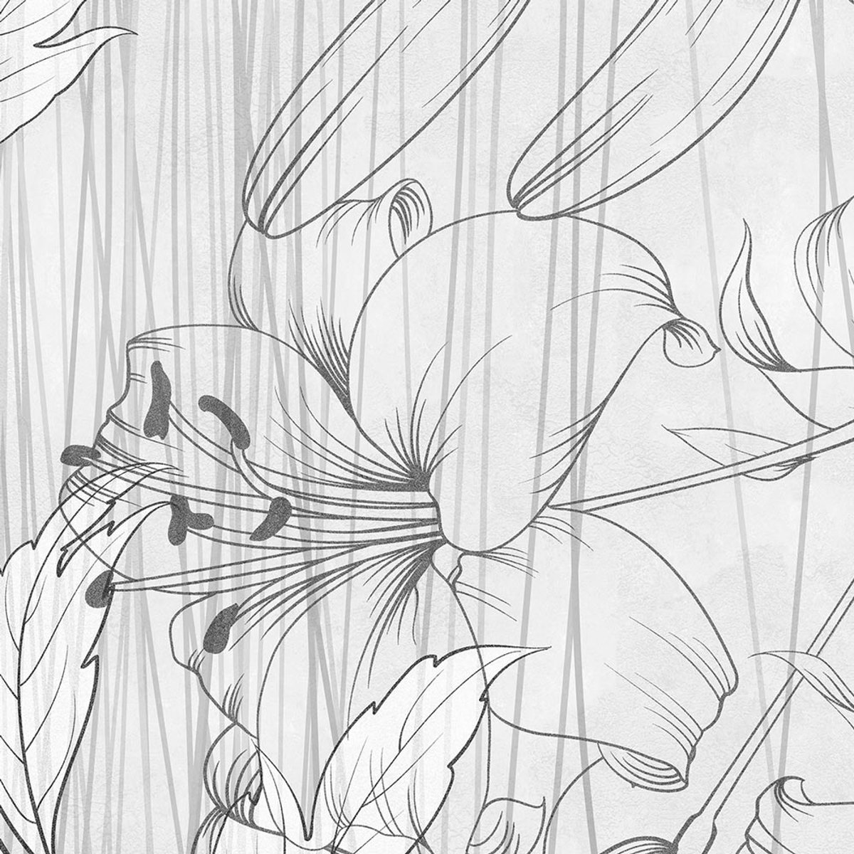 Rimura | Cairo Rimura | Cairo