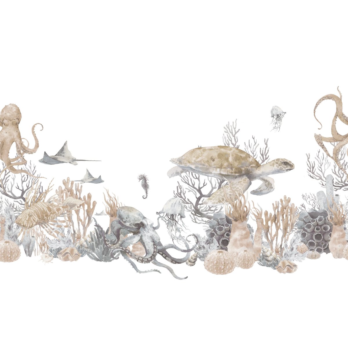 Rimura | Corallina Rimura | Corallina