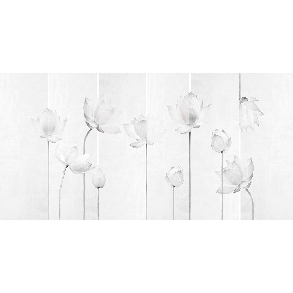 Rimura | Denver Rimura | Denver