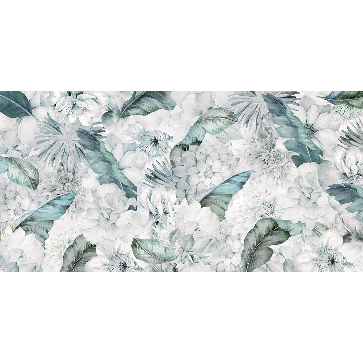 Rimura | Faba Rimura | Faba