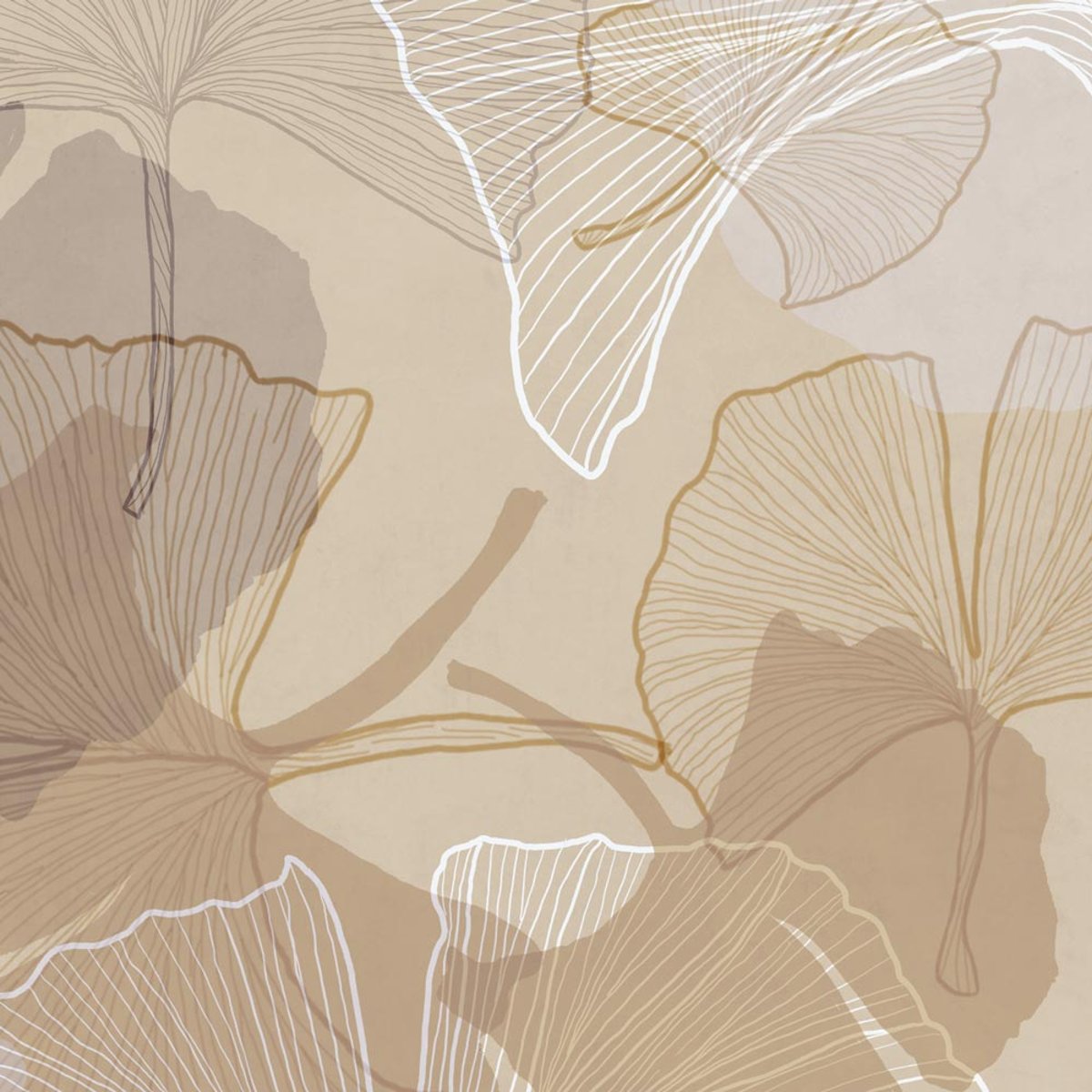 Rimura | Ginkgo Rimura | Ginkgo