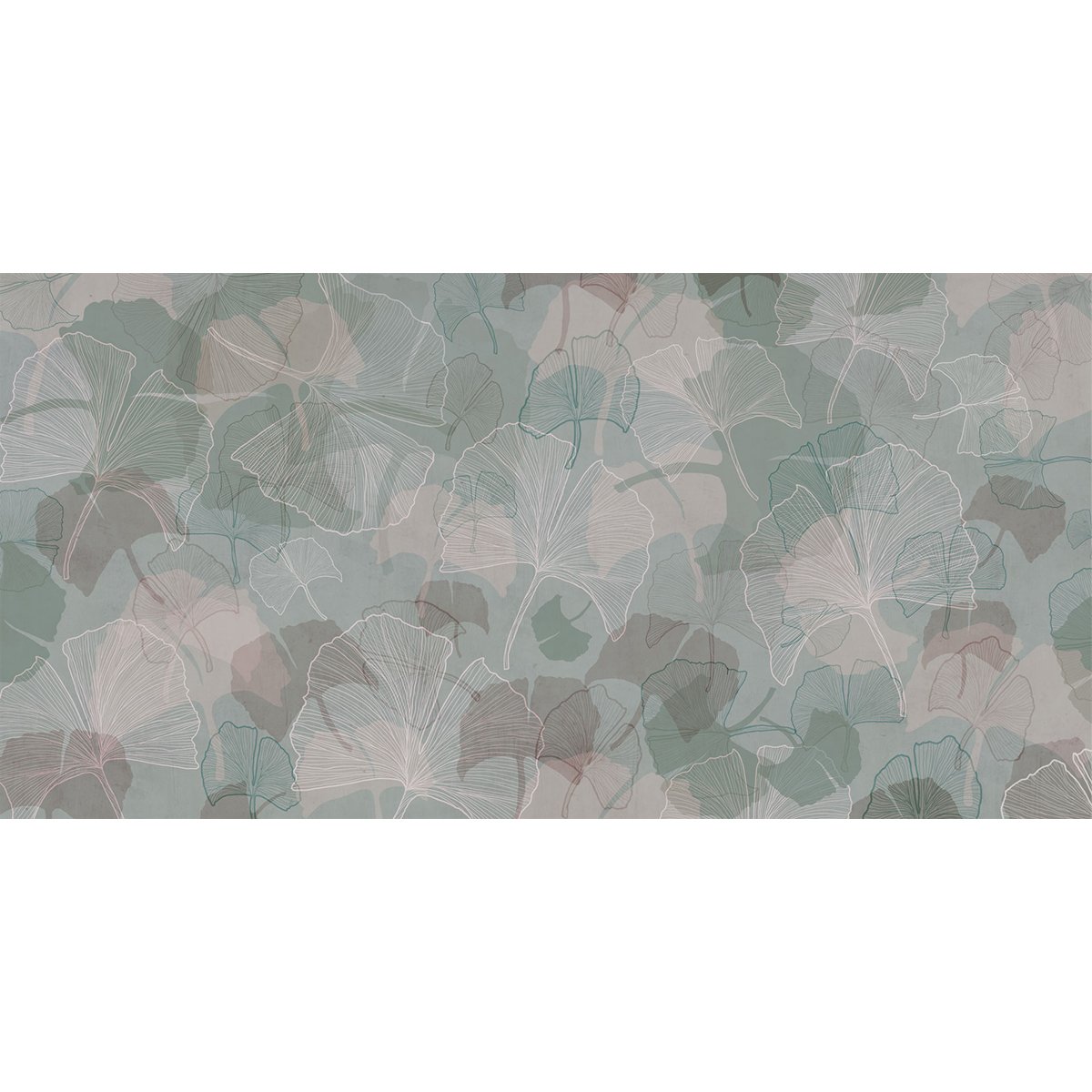 Rimura | Ginkgo Rimura | Ginkgo