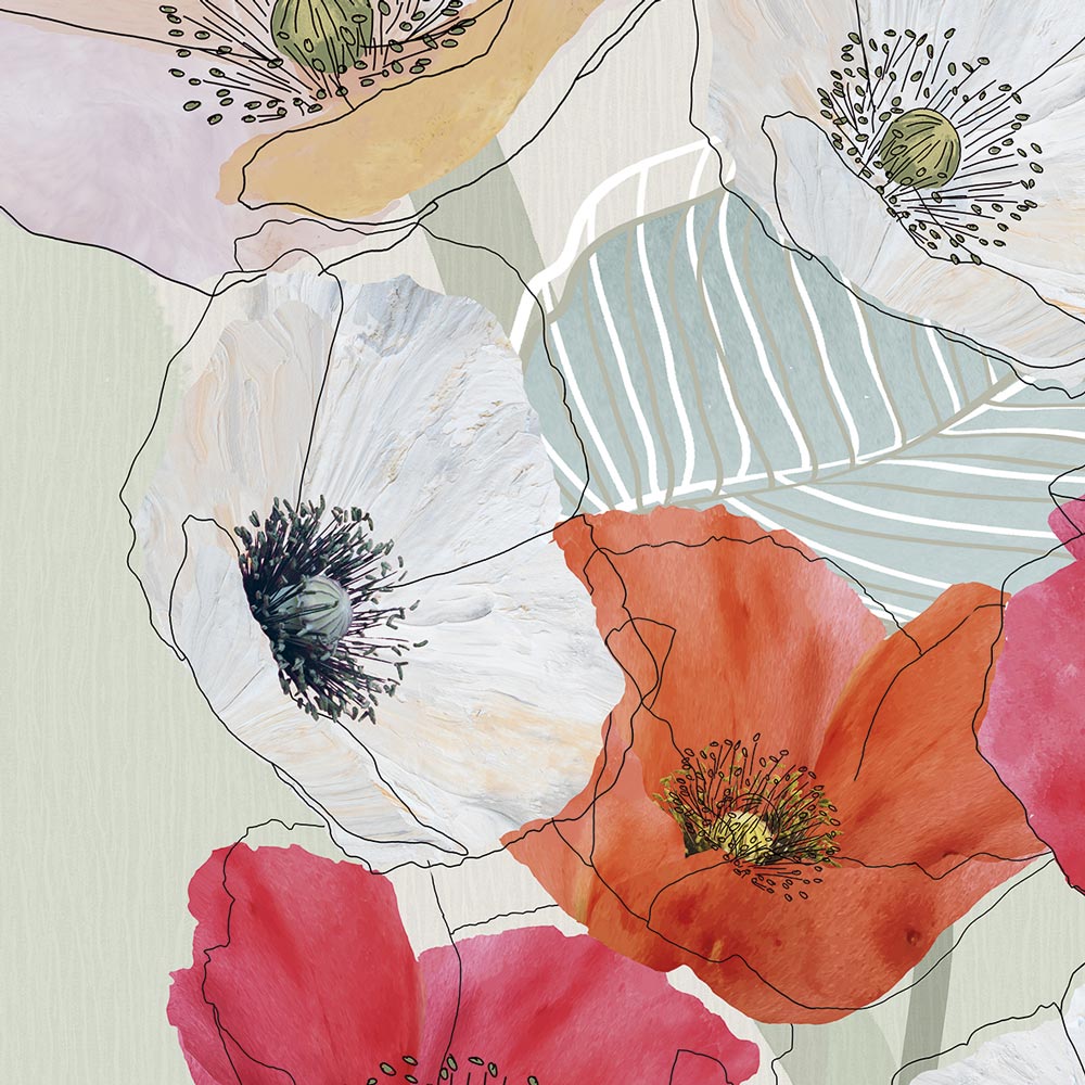 Rimura | Kenzo Rimura | Kenzo