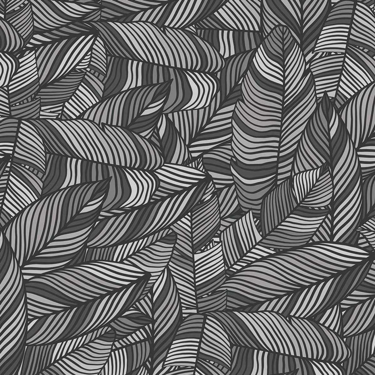 Rimura | Kiril Rimura | Kiril