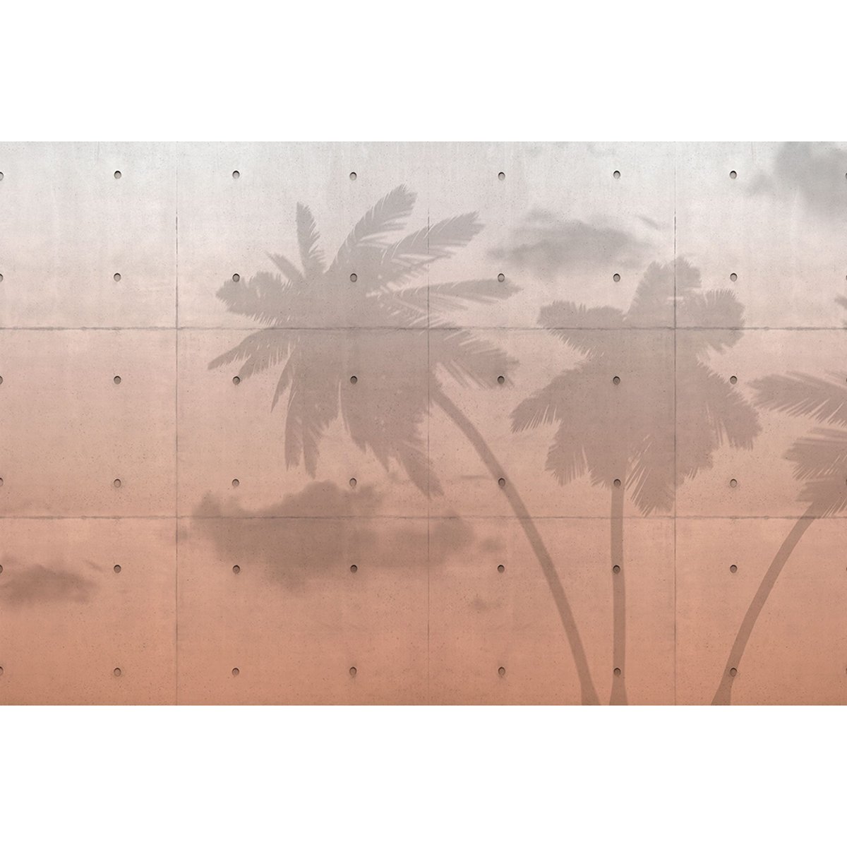 Rimura | Miami Rimura | Miami