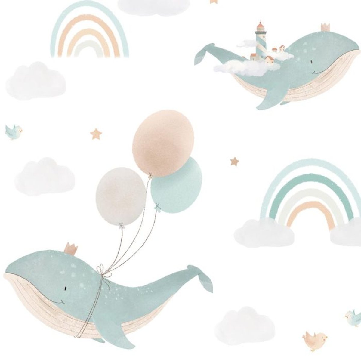 Rimura | Mondo Marino Rimura | Mondo Marino