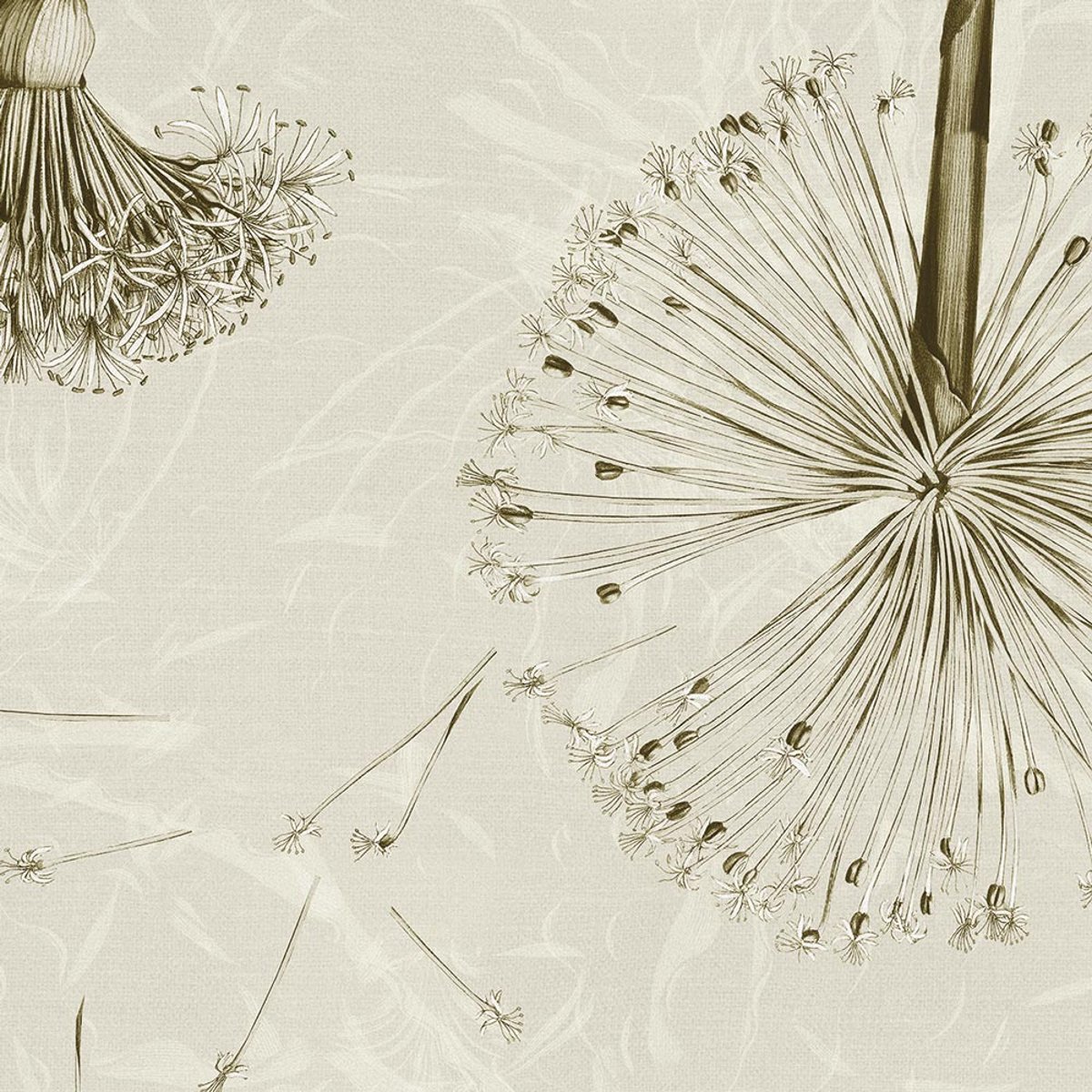 Rimura | Pelota Rimura | Pelota