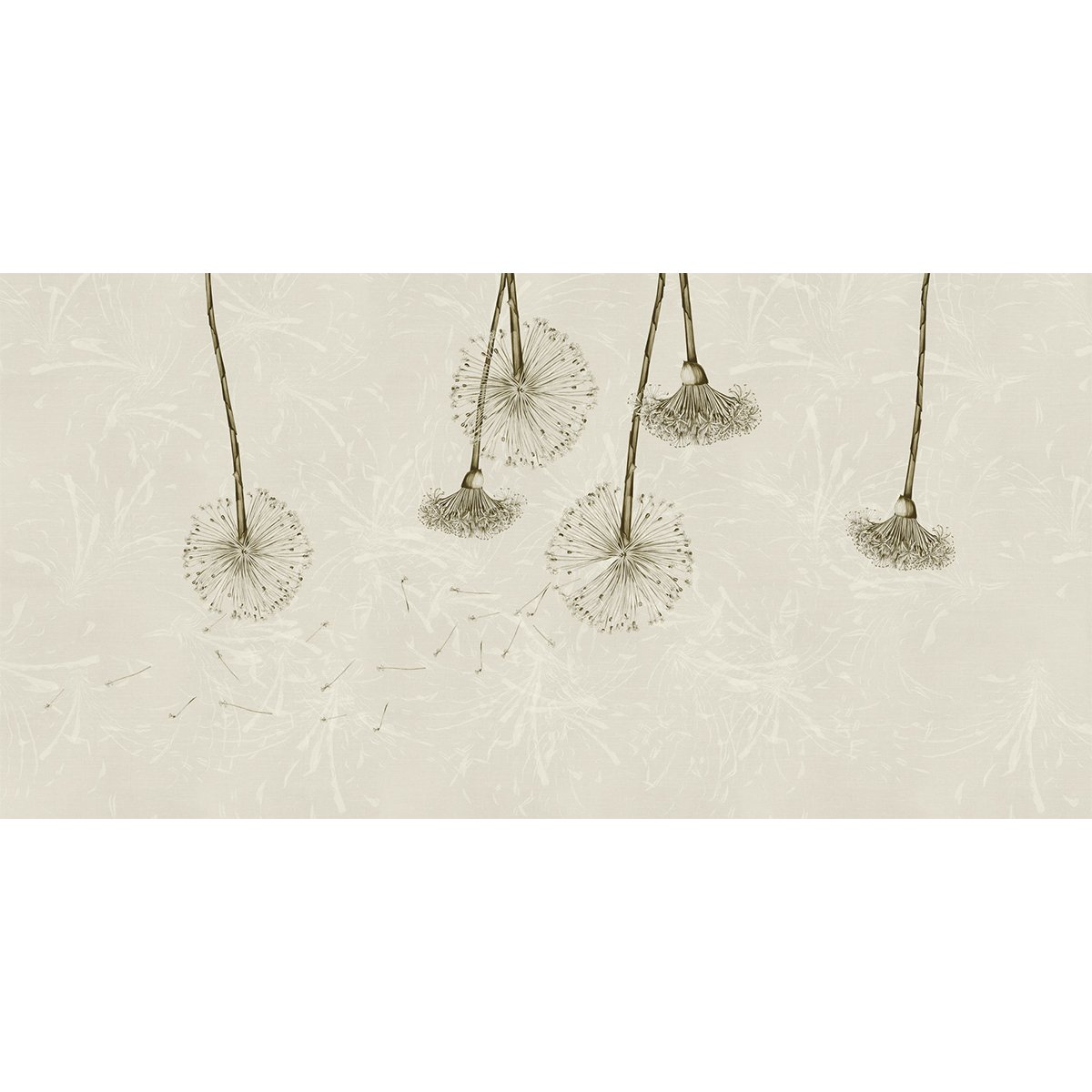 Rimura | Pelota Rimura | Pelota