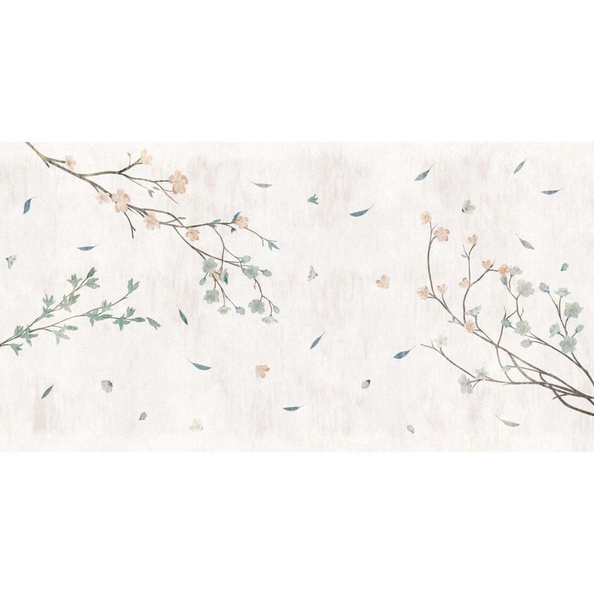 Rimura | Sakura Rimura | Sakura