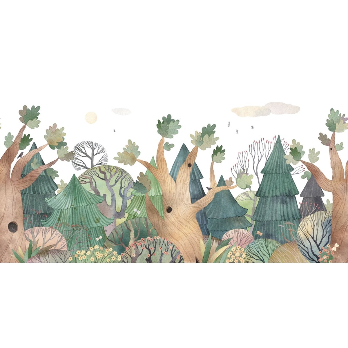 Rimura | Scoiattolandia Rimura | Scoiattolandia