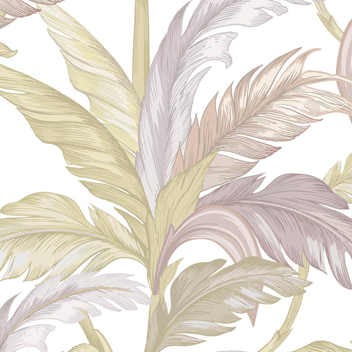 Rimura | Solletico Rimura | Solletico