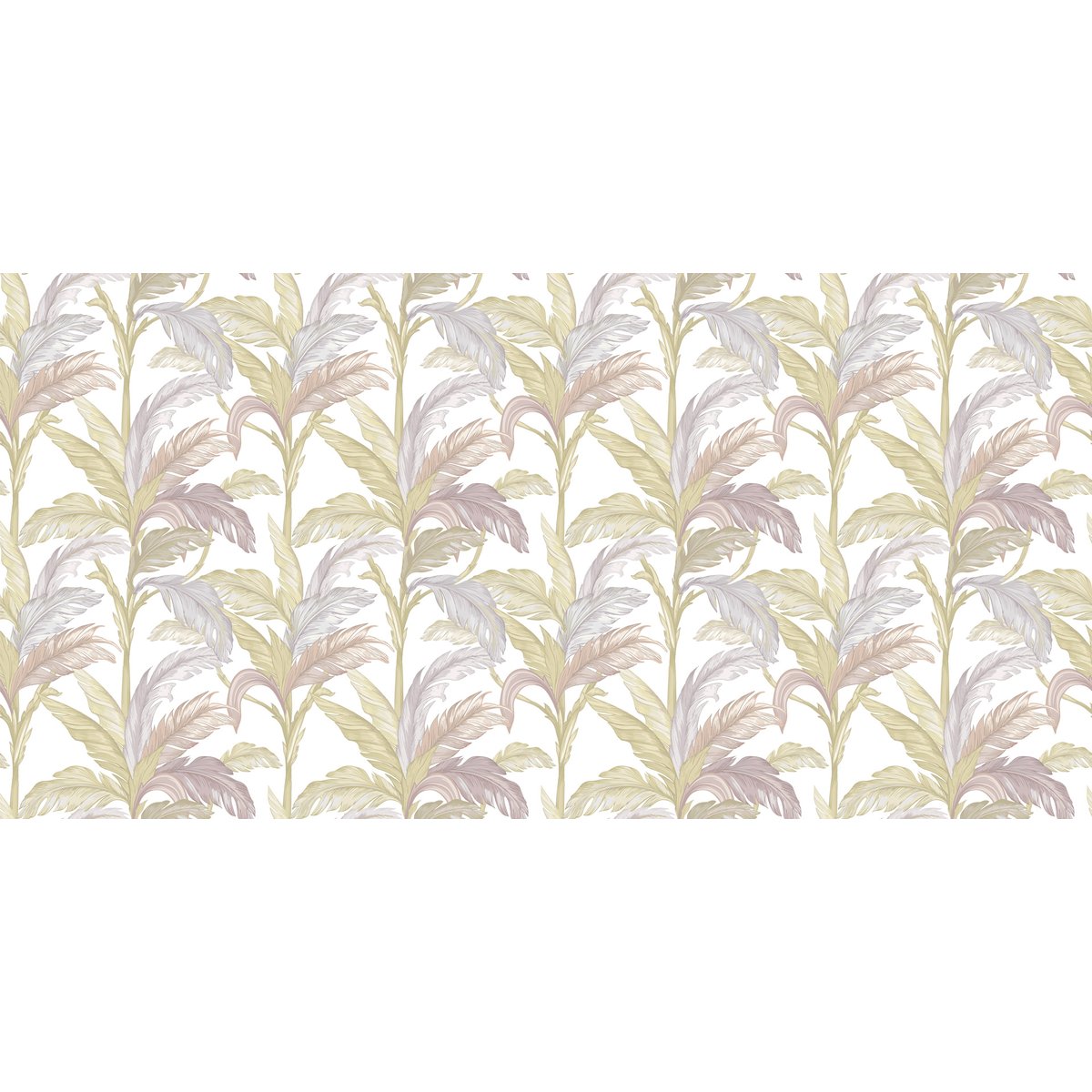 Rimura | Solletico Rimura | Solletico