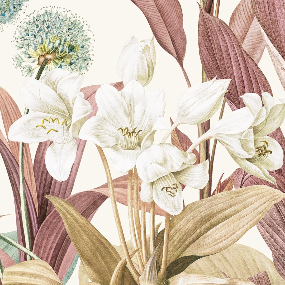 Rimura | Sunset Time Rimura | Sunset Time