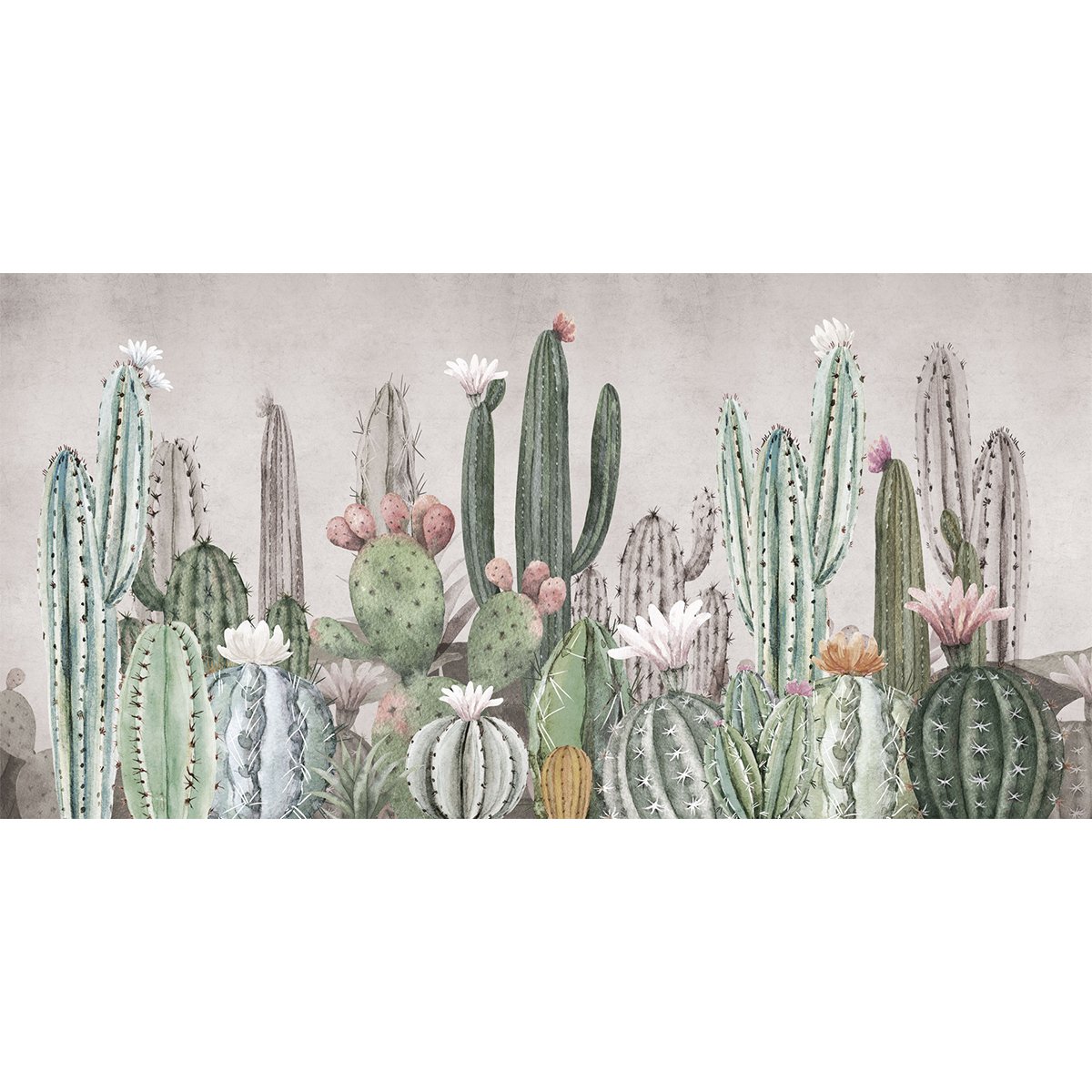 Rimura | Tucson Rimura | Tucson