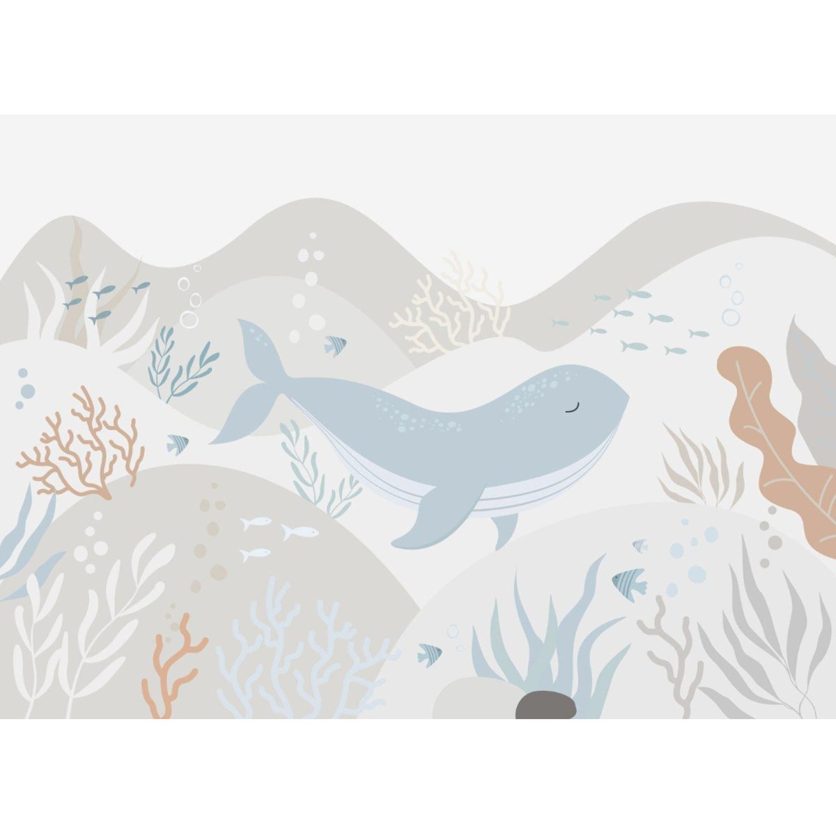 Rimura | Echi blue Rimura | Echi blue