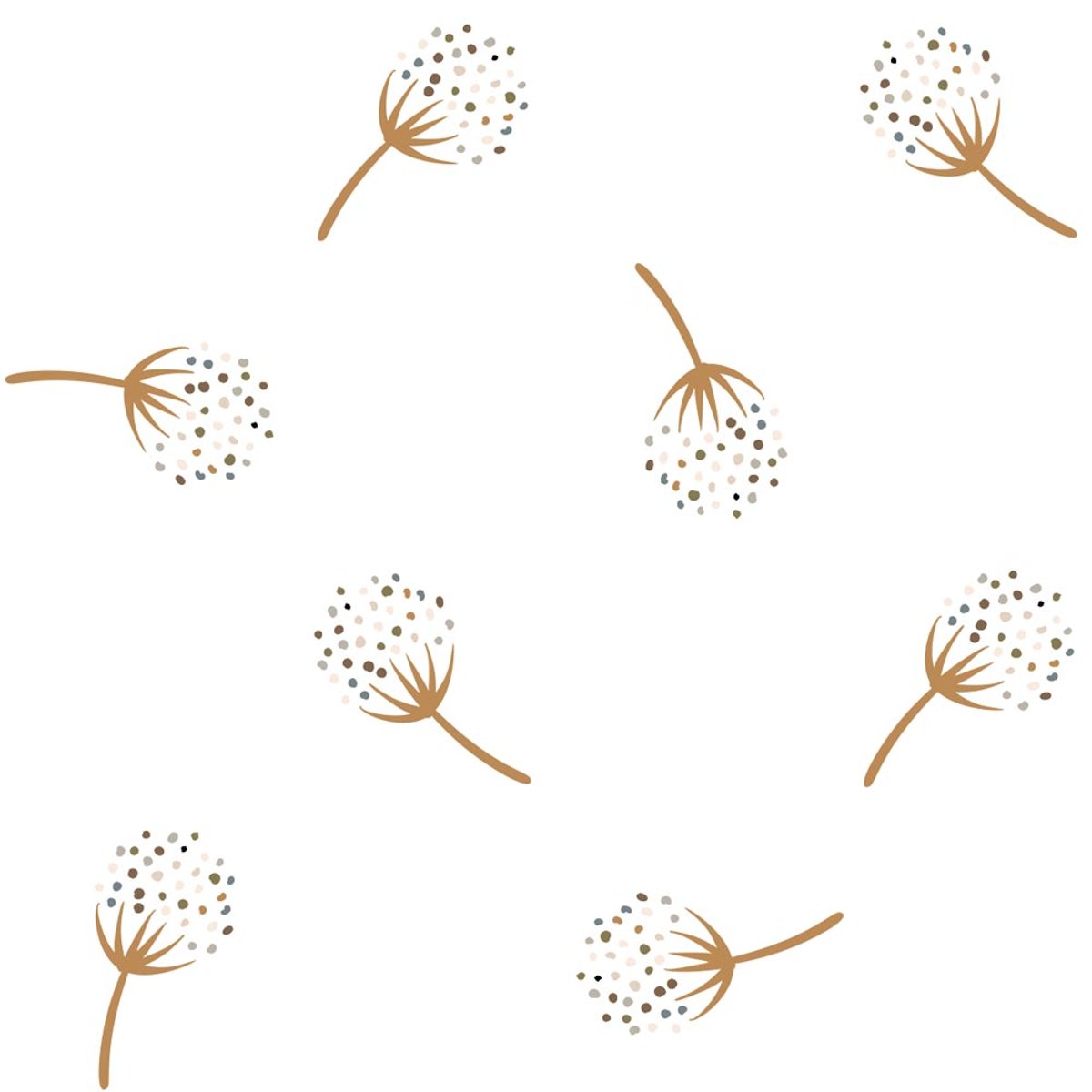 Rimura | Windy Rimura | Windy