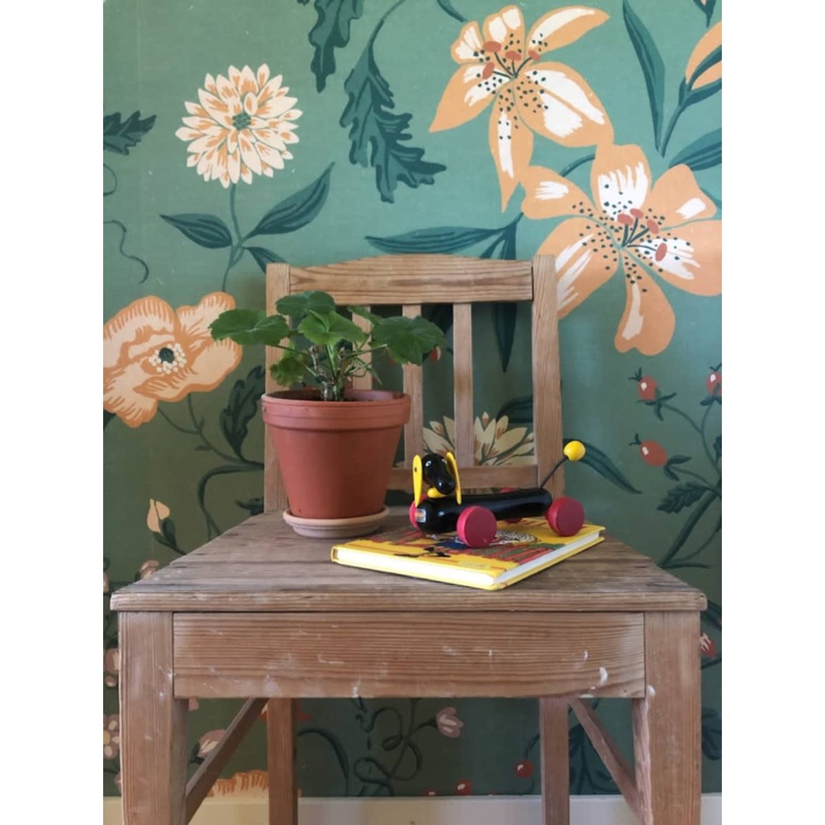 Sandberg | Suzanne Sandberg | Suzanne