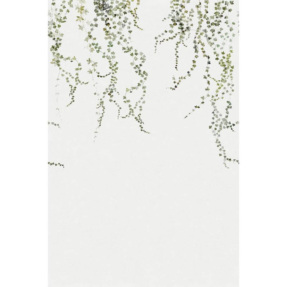 Sandberg | Aralia | Moss Green | 640-04 Sandberg | Aralia | Moss Green | 640-04