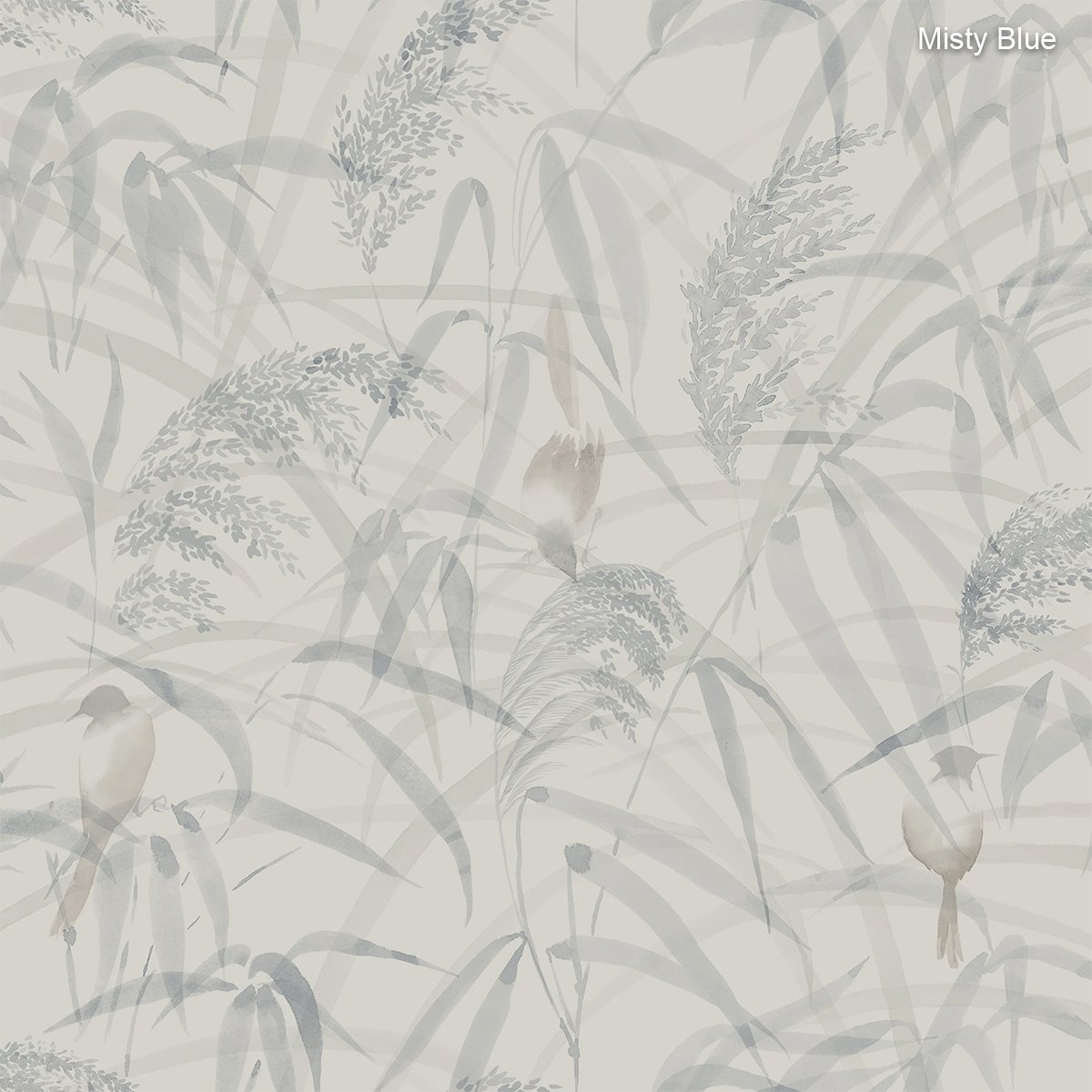 Sandberg | Anna Sandberg | Anna