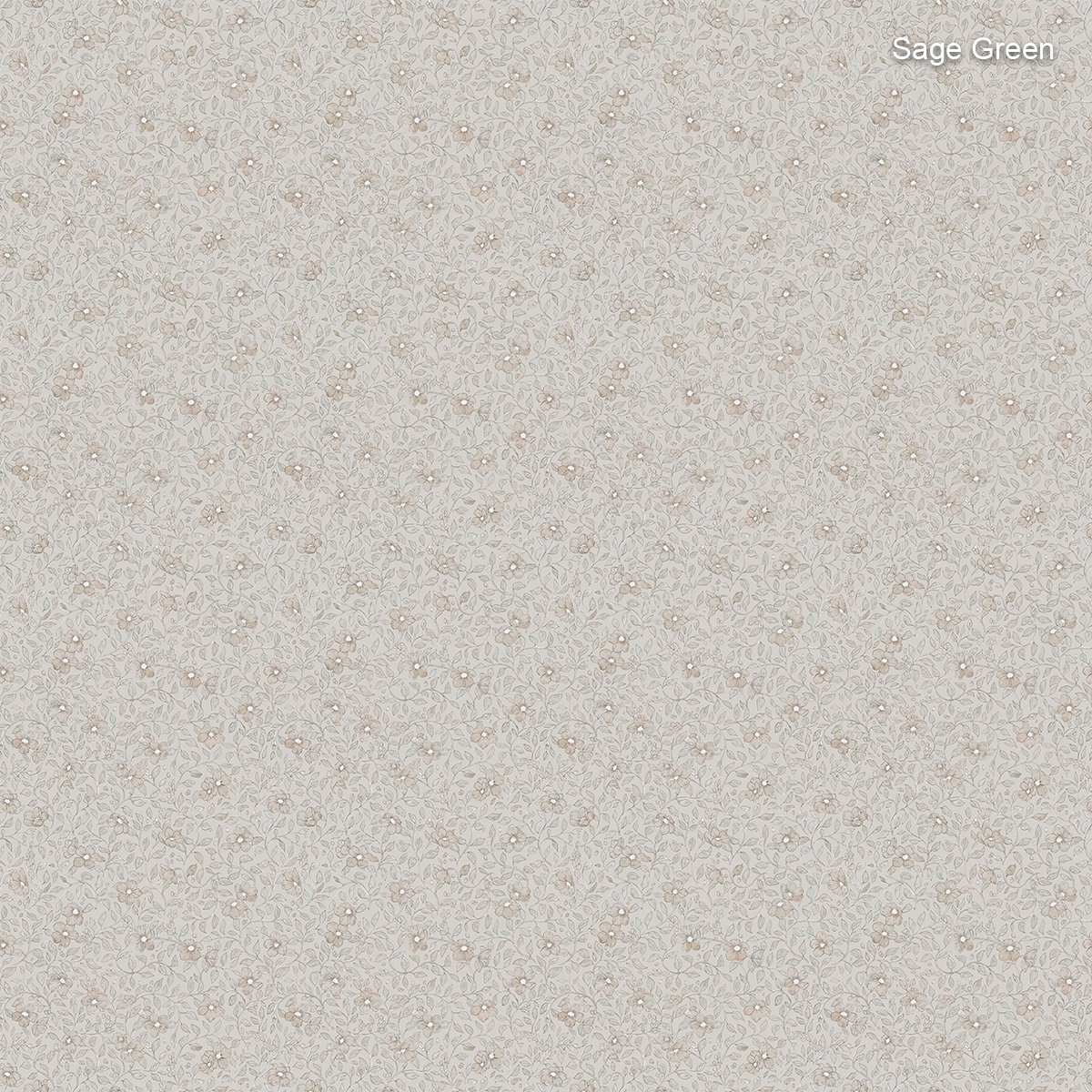 Sandberg | Stella Sandberg | Stella