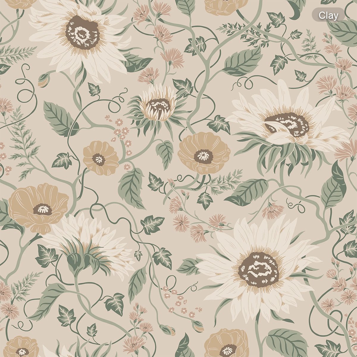 Sandberg | Solveig Sandberg | Solveig