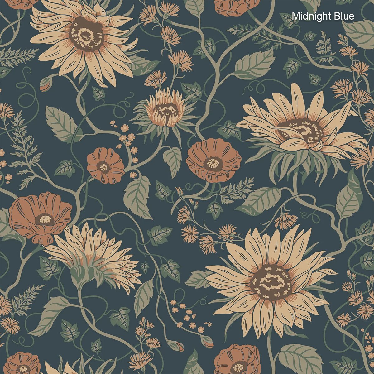 Sandberg | Solveig Sandberg | Solveig