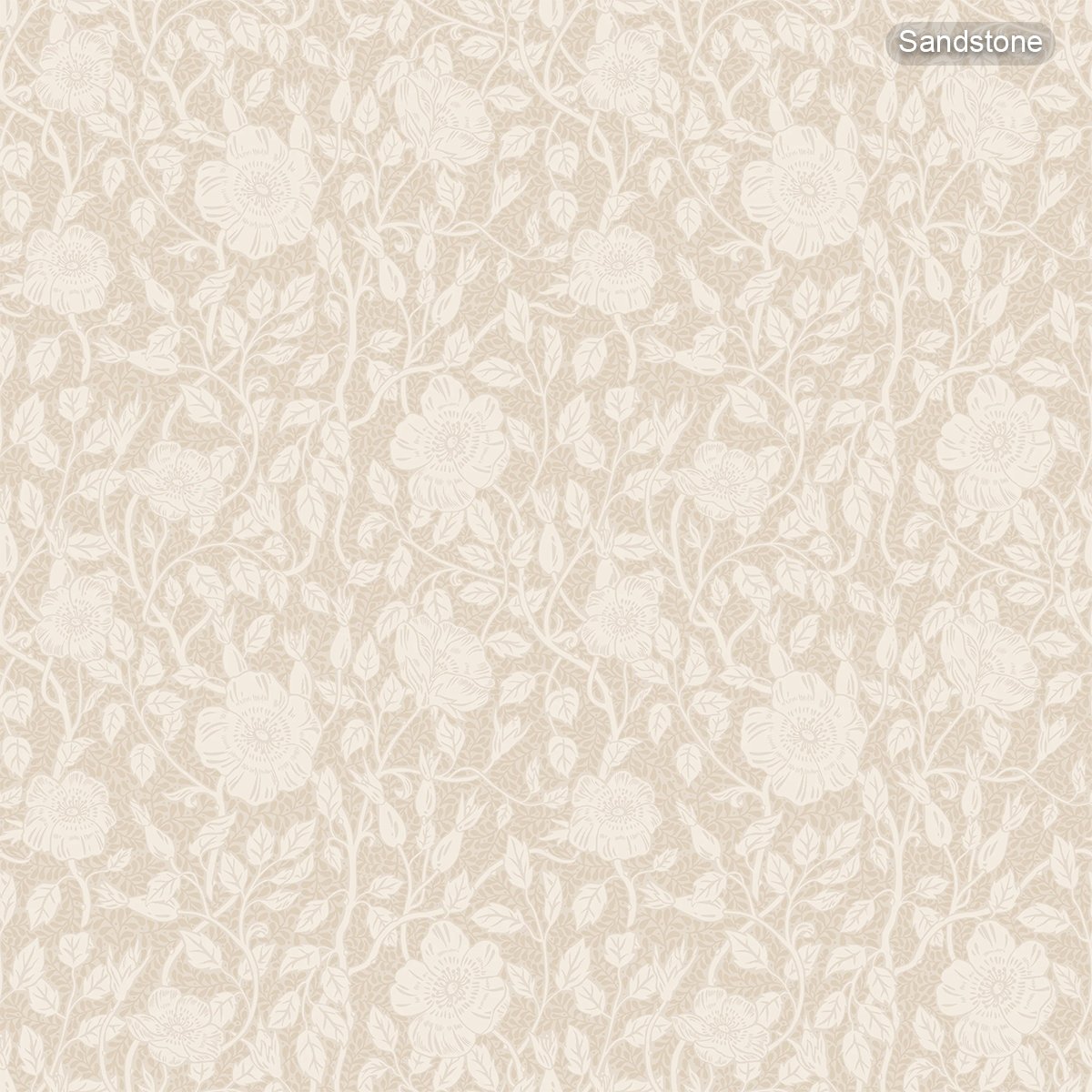 Sandberg | Anton Sandberg | Anton