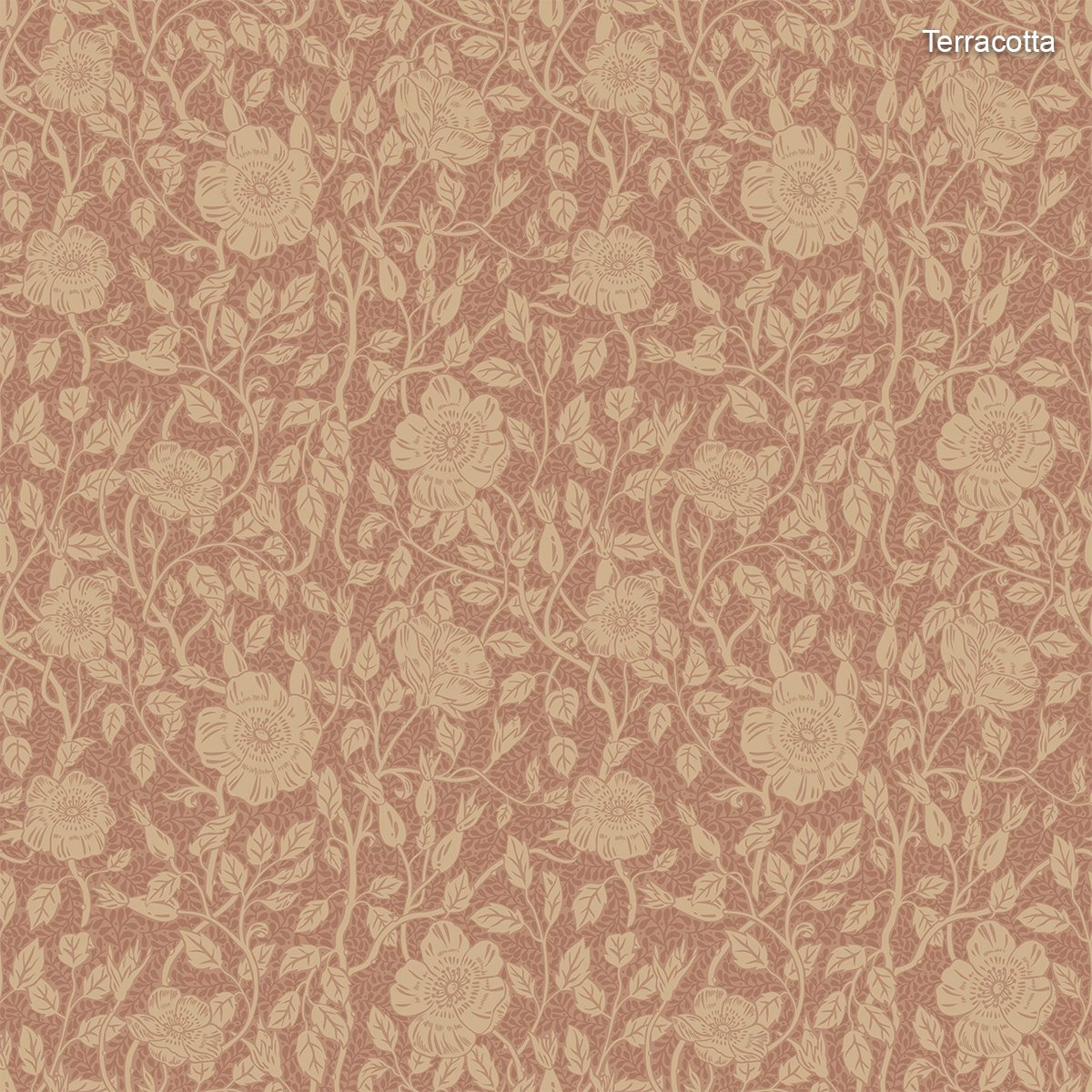 Sandberg | Anton Sandberg | Anton