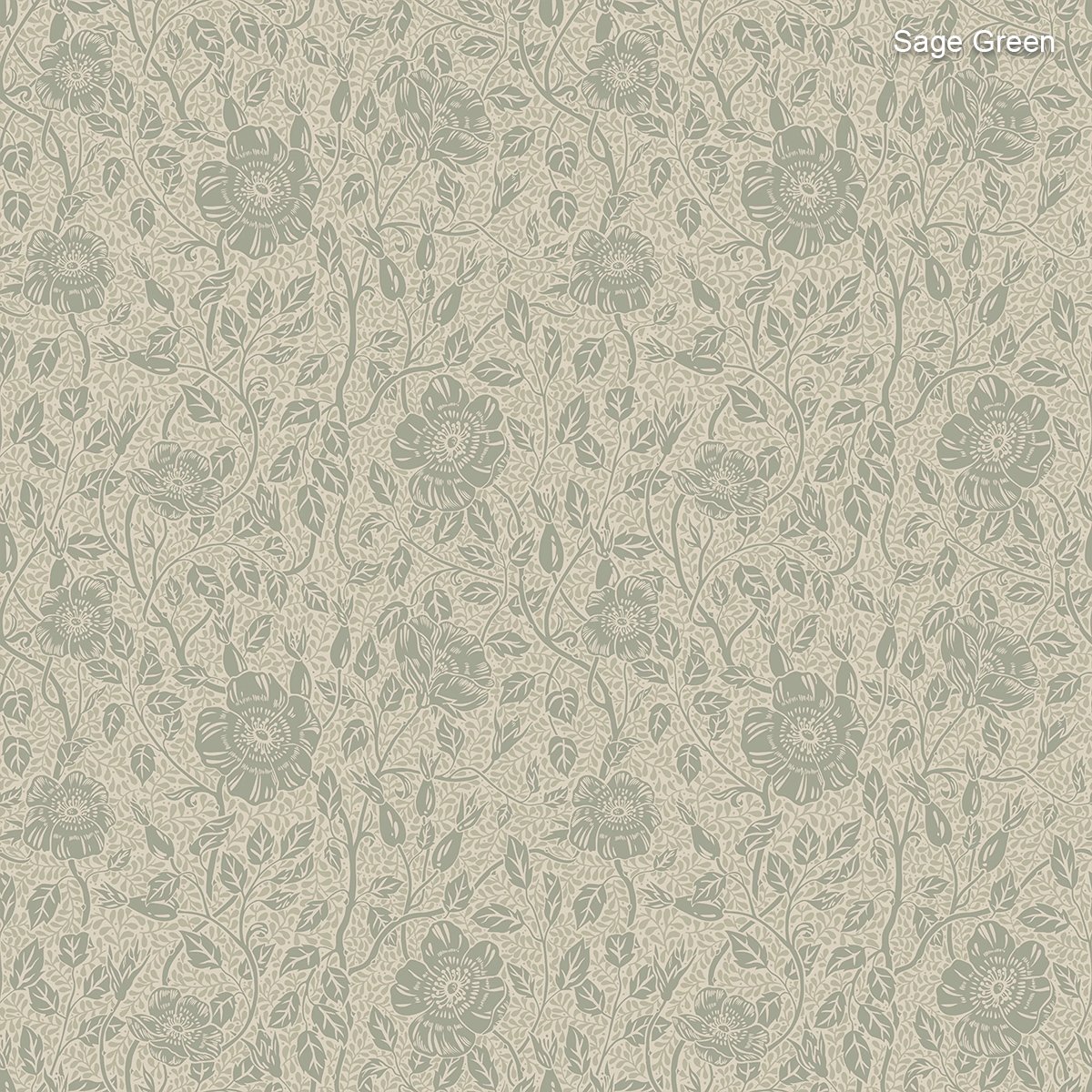 Sandberg | Anton Sandberg | Anton