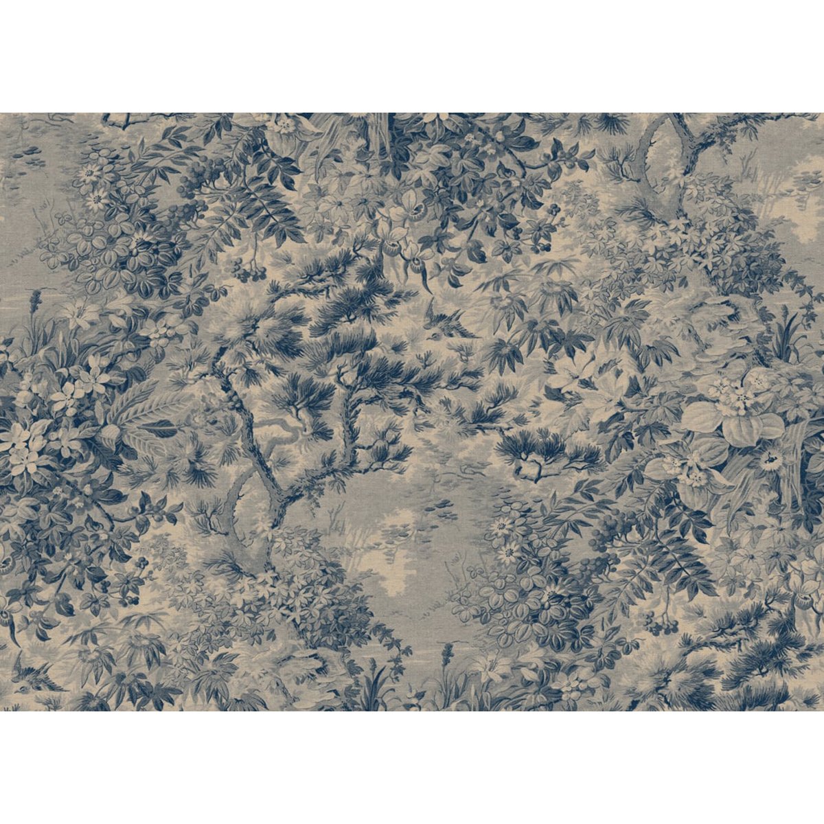 Sandberg | Johannas Damm Sandberg | Johannas Damm